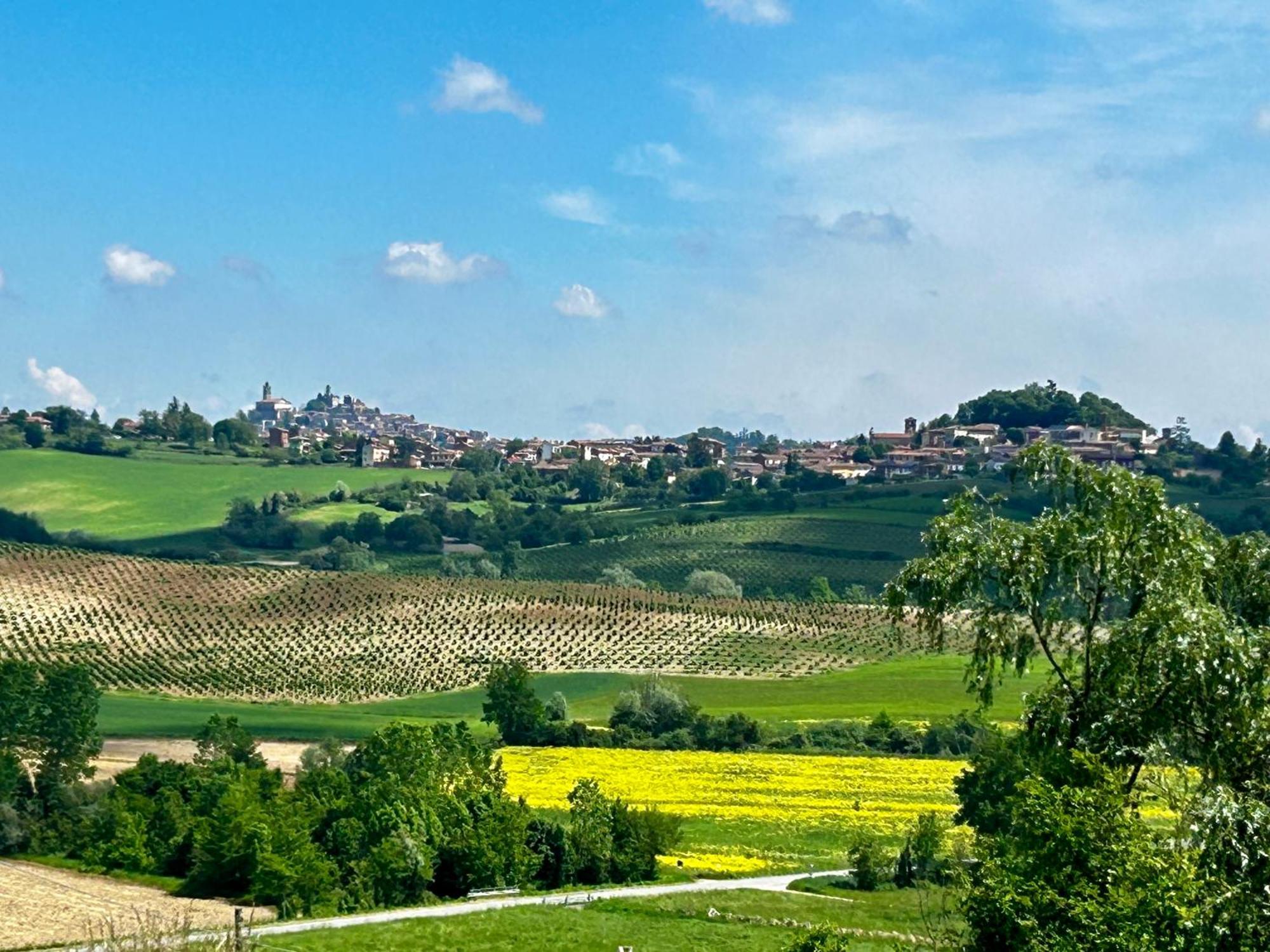 Casa Feliciani - Monferratohome Viarigi Esterno foto